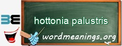 WordMeaning blackboard for hottonia palustris